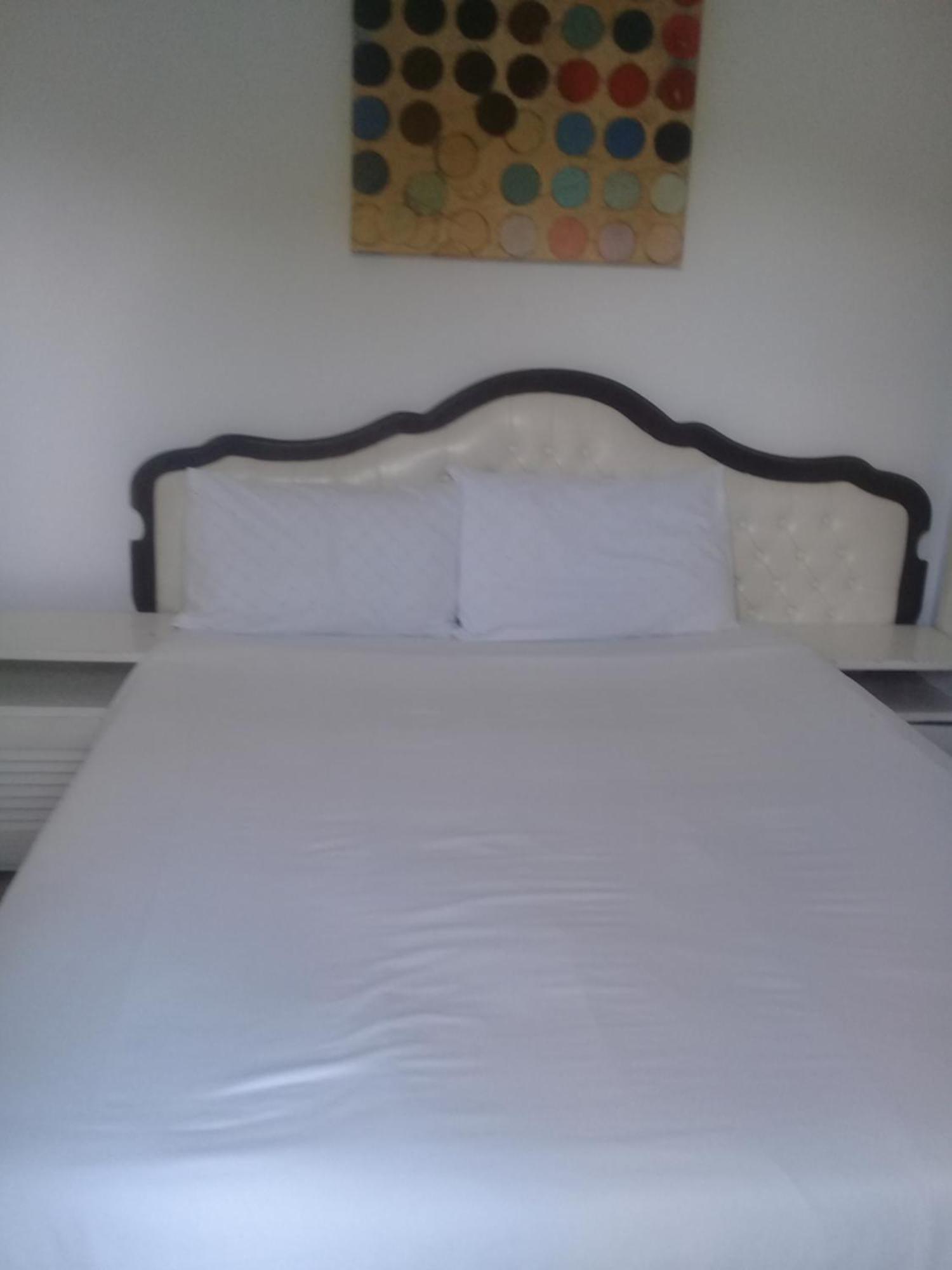 Accoustix Backpackers Hostel 约翰内斯堡 外观 照片